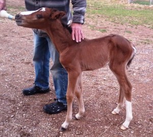 Barbie drinking 10 days