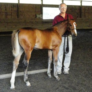 GOV Inspection23Aug12