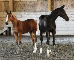 GOV Inspection29Aug12