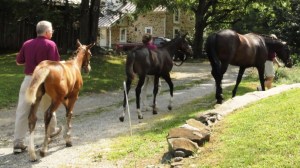 GOV Inspection30Aug12