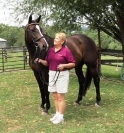 GOV Inspection40Aug12