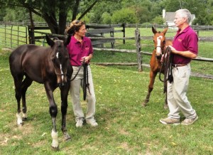 GOV Inspection46Aug12