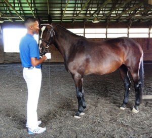 GOV Inspection8Aug12